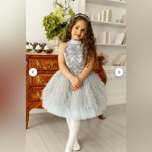Blue feather party dress, Tutu, princess party outfit
